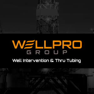 wellpro