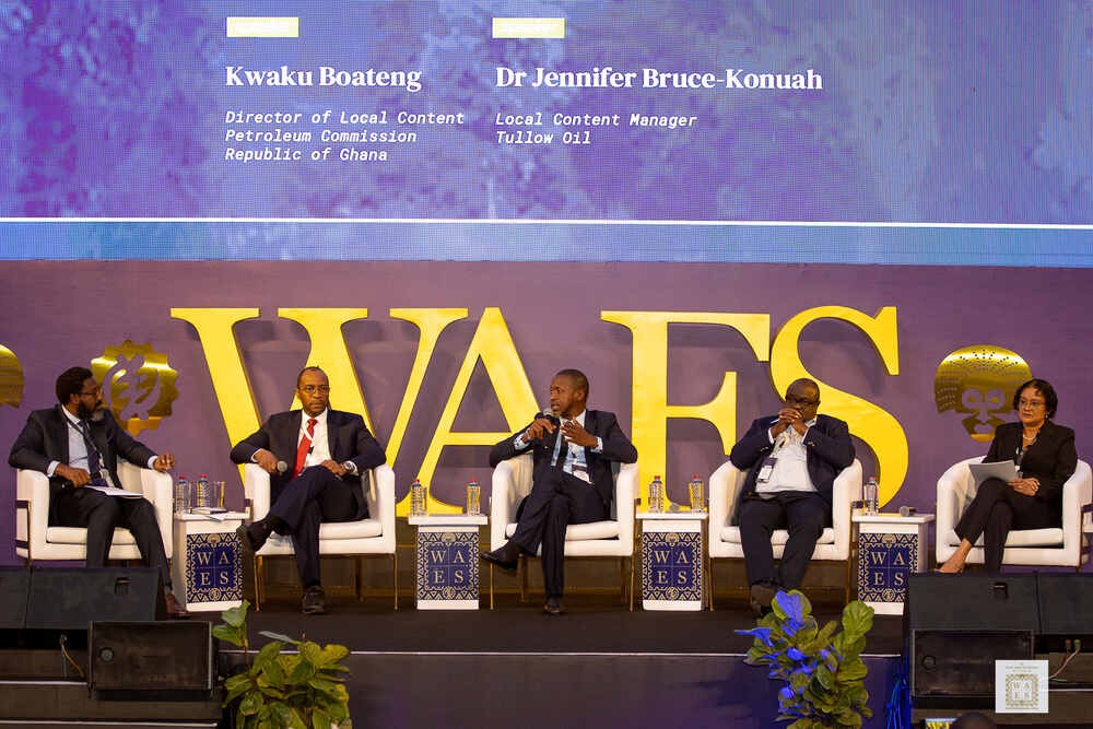 Organisers hail ‘resounding success’ of  inaugural West African Energy Summit